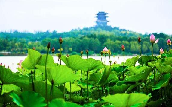 中國文旅產(chǎn)業(yè)的市場(chǎng)潛力龐大，未來市場(chǎng)空間有望達(dá)到2萬億元