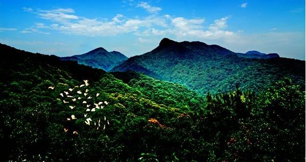 花都區(qū)出臺“白金十條”促進旅游產(chǎn)業(yè)發(fā)展，最大一項政策獎勵達2000萬元???