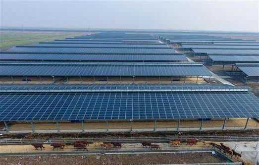 2019年，預(yù)計(jì)全社會(huì)用電量同比增長(zhǎng)5%-8%，增長(zhǎng)7%的概率較大??