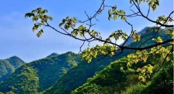 陜西省政府：印發(fā)《秦嶺生態(tài)環(huán)境保護(hù)行動(dòng)方案》，持之以恒有效保護(hù)秦嶺這一國家重要生態(tài)安全屏障