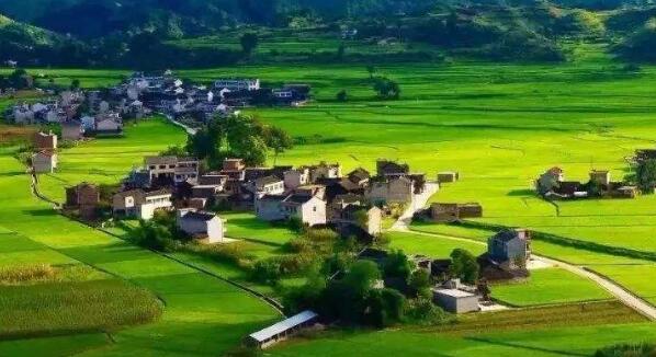 去年全國鄉(xiāng)村旅游總?cè)舜螢?0.9億人次，同比增加9.7%