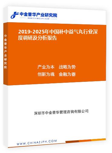 2019-2025年中國補(bǔ)中益氣丸行業(yè)深度調(diào)研及分析報(bào)告