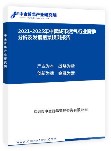 2021-2025年中國城市燃氣行業(yè)競爭分析及發(fā)展前景預測報告